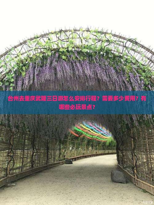 台州去重庆武隆三日游怎么安排行程？需要多少费用？有哪些必玩景点？