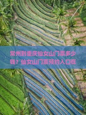 常州到重庆仙女山门票多少钱？仙女山门票预约入口在哪里？