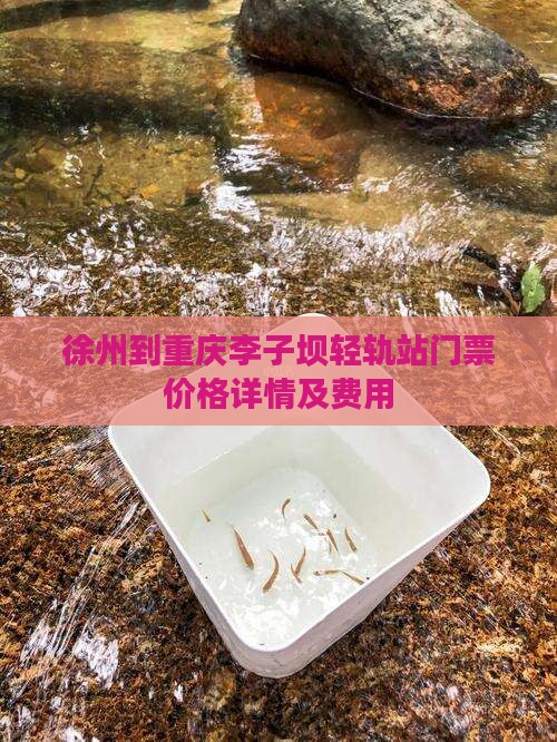 徐州到重庆李子坝轻轨站门票价格详情及费用