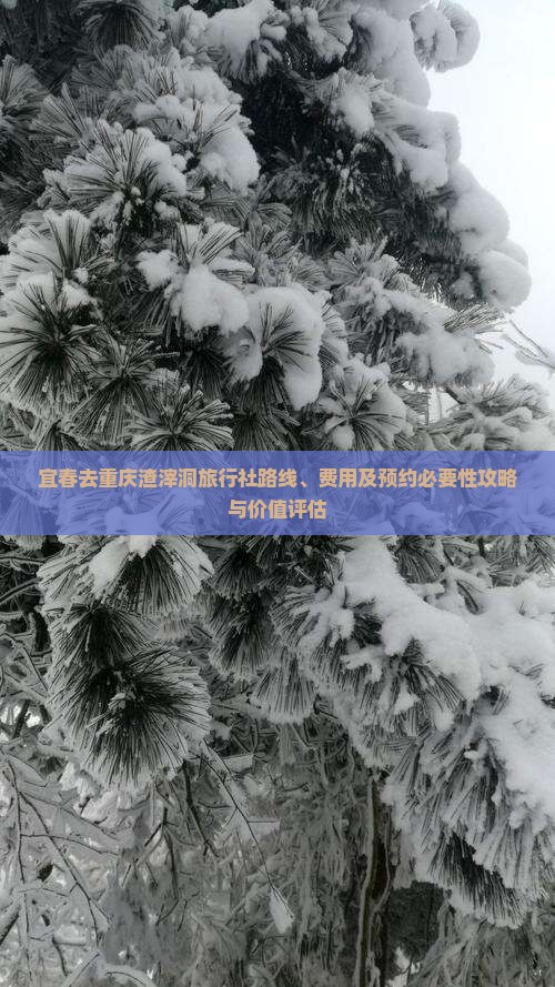 宜春去重庆渣滓洞旅行社路线、费用及预约必要性攻略与价值评估