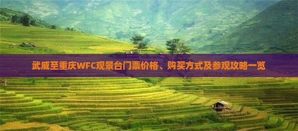 武威至重庆WFC观景台门票价格、购买方式及参观攻略一览