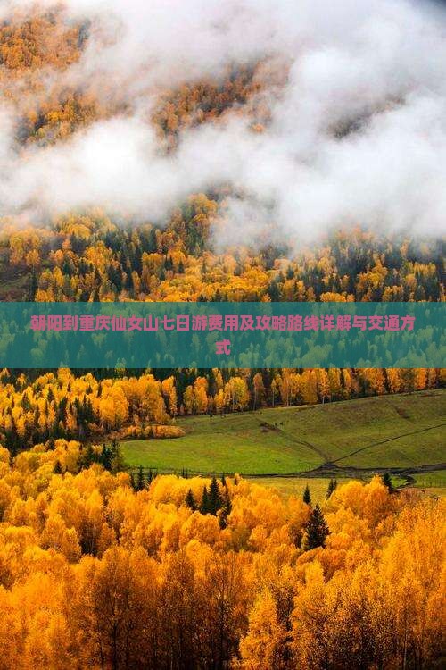 朝阳到重庆仙女山七日游费用及攻略路线详解与交通方式