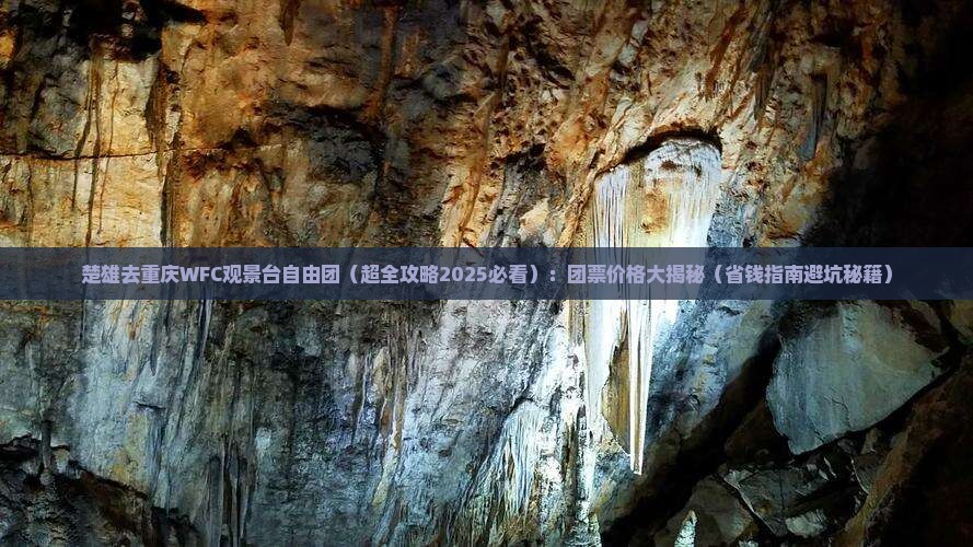 楚雄去重庆wfc观景台自由团