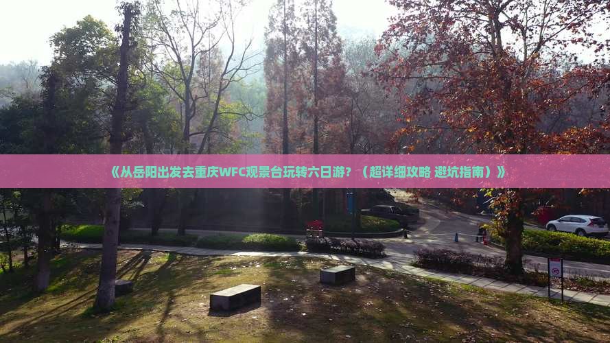 岳阳到重庆wfc观景台六日游