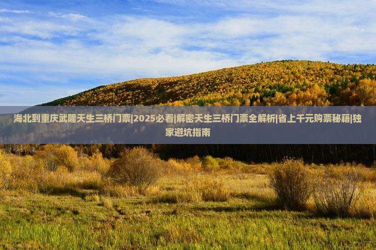 海北到重庆武隆天生三桥门票