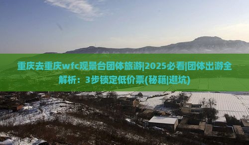 重庆去重庆wfc观景台团体旅游