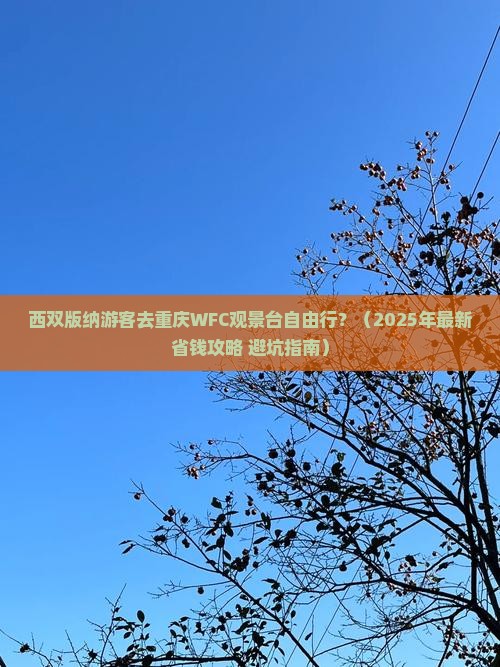 西双版纳去重庆wfc观景台自由团