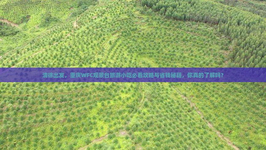 清徐到重庆wfc观景台旅游小吃