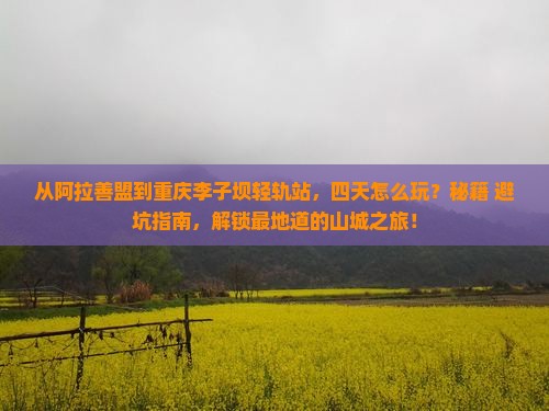 阿拉善盟到重庆李子坝轻轨站四日游