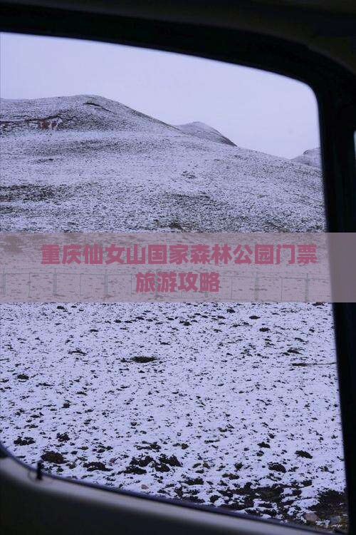 七台河到重庆仙女山门票