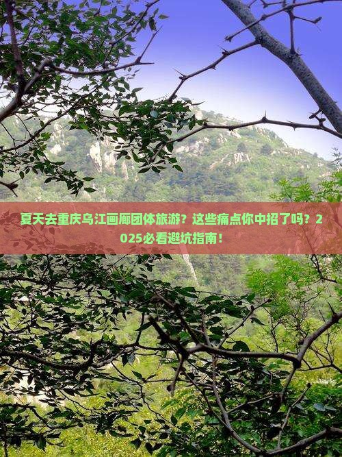 夏天去重庆乌江画廊团体旅游