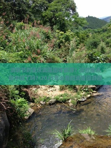 清明节到重庆武隆团体旅游
