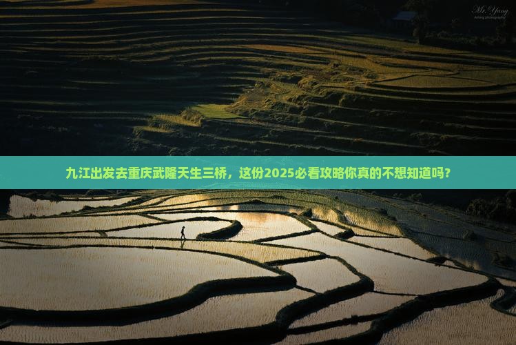 九江去重庆武隆天生三桥必去地