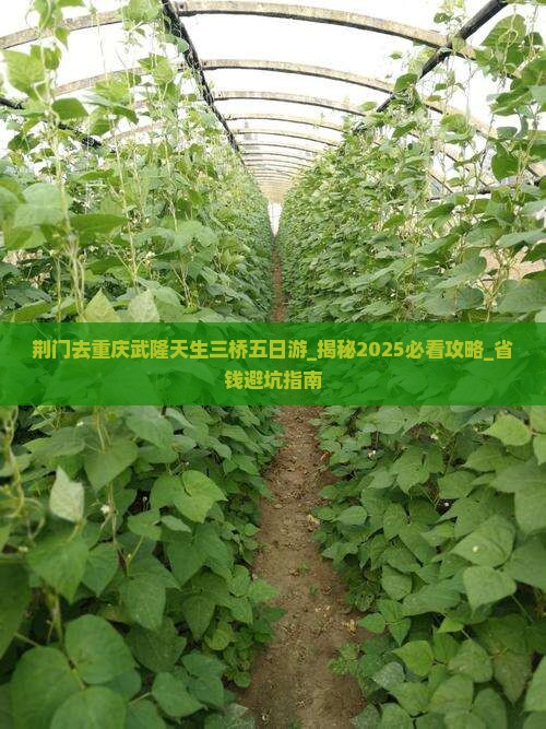 荆门去重庆武隆天生三桥五日游