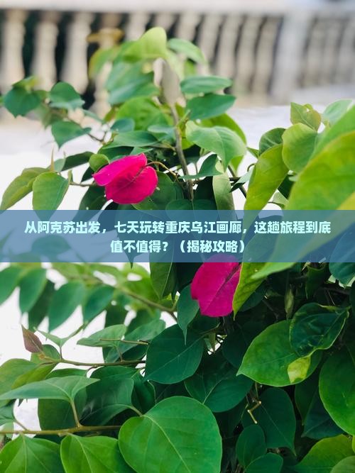 阿克苏去重庆乌江画廊七日游