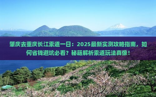 肇庆去重庆长江索道一日