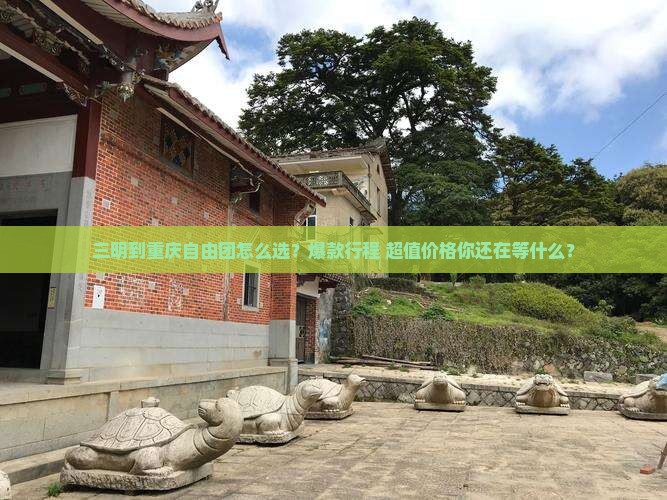 三明到重庆自由团
