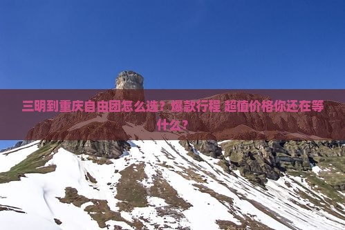 三明到重庆自由团