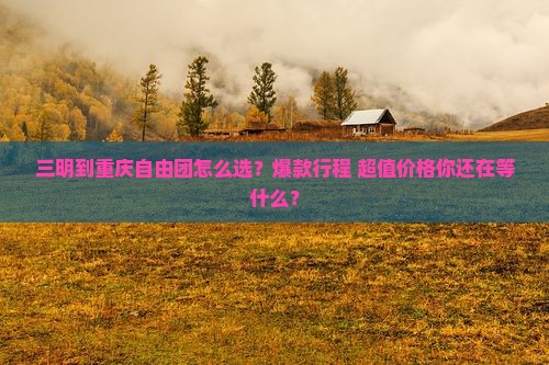 三明到重庆自由团