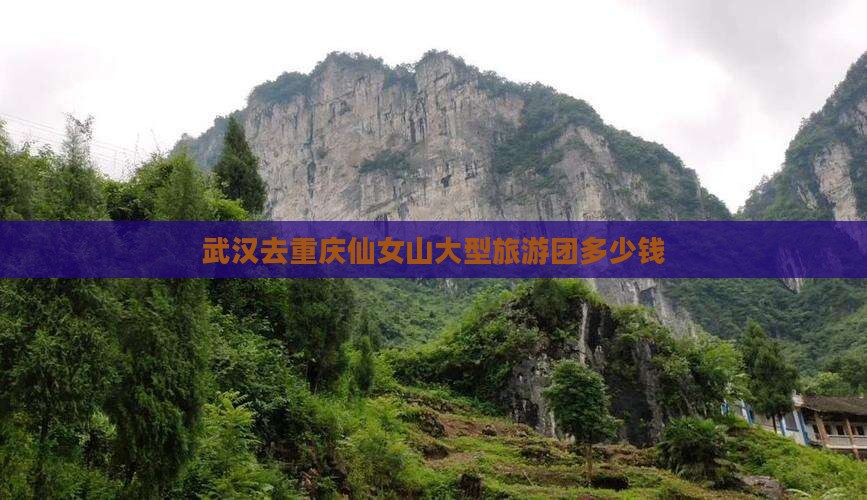 武汉去重庆仙女山大型旅游团