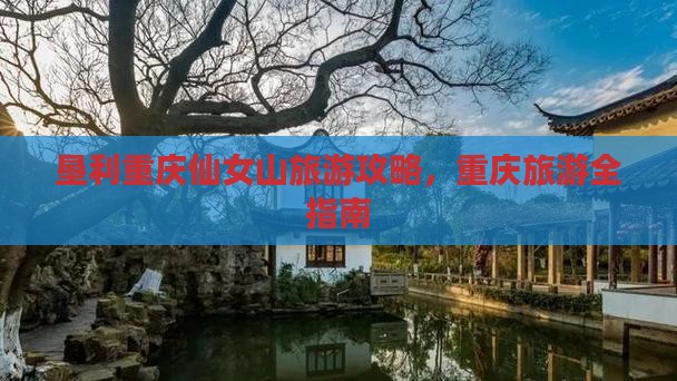 垦利去重庆仙女山旅游
