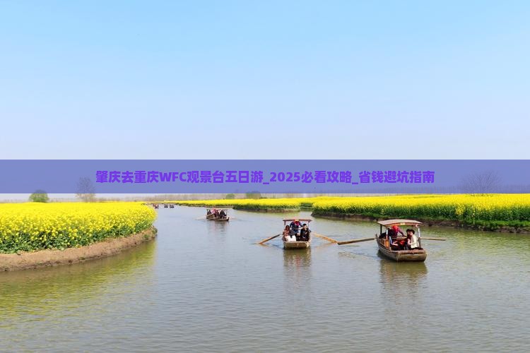 肇庆去重庆wfc观景台五日游