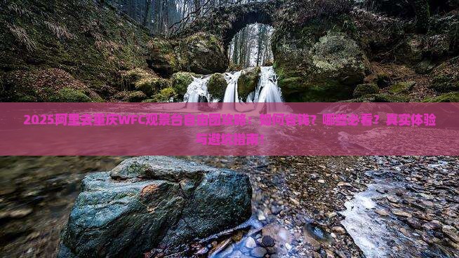 阿里去重庆wfc观景台自由团