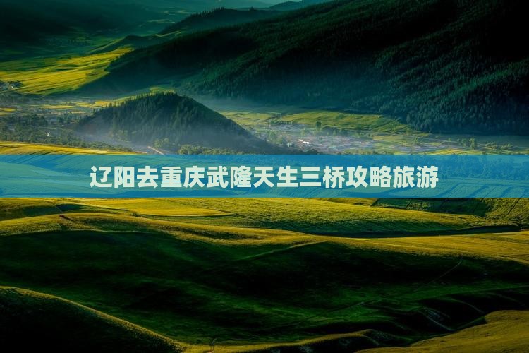 辽阳去重庆武隆天生三桥旅行社