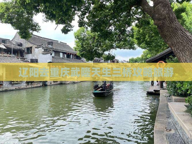 辽阳去重庆武隆天生三桥旅行社