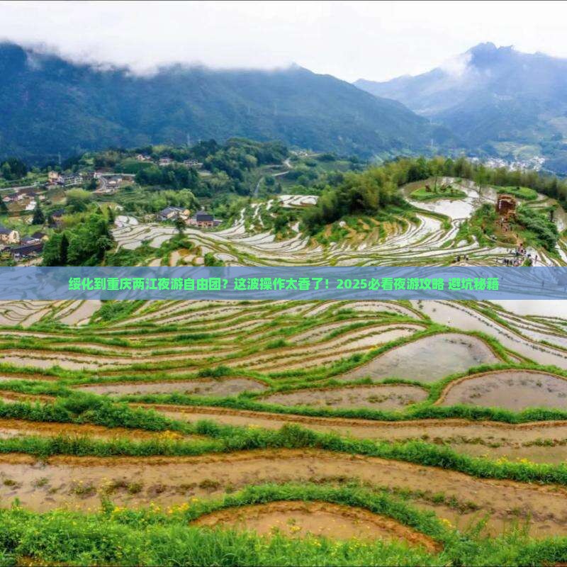 绥化到重庆两江夜游自由团