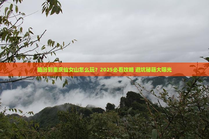 临汾到重庆仙女山旅行社