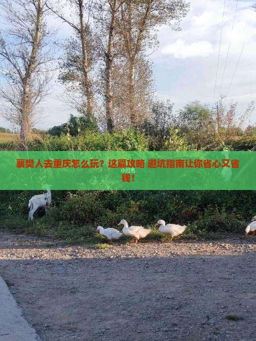 襄樊去重庆旅行社