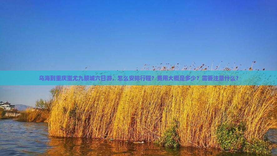 乌海到重庆蚩尤九黎城六日游，怎么安排行程？费用大概是多少？需要注意什么？