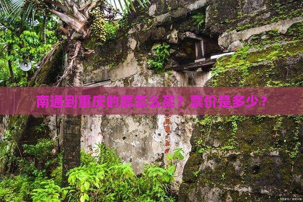 南通到重庆的票怎么买？票价是多少？