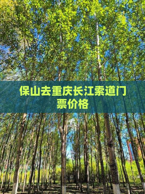 保山去重庆长江索道门票价格