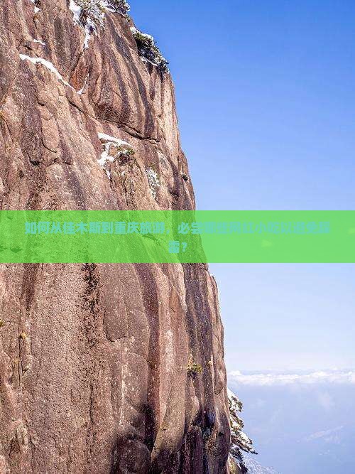 如何从佳木斯到重庆旅游，必尝哪些网红小吃以避免踩雷？