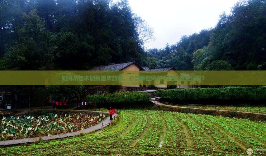 如何从佳木斯到重庆旅游，必尝哪些网红小吃以避免踩雷？