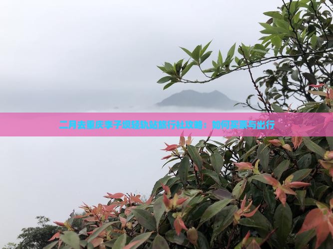 二月去重庆李子坝轻轨站旅行社攻略：如何买票与出行