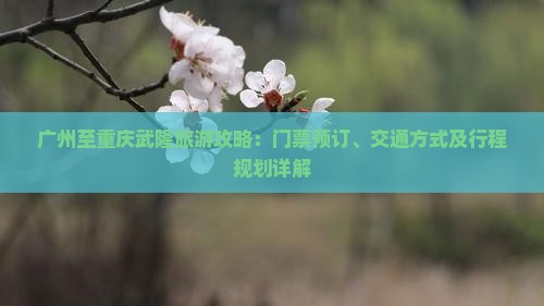 广州至重庆武隆旅游攻略：门票预订、交通方式及行程规划详解