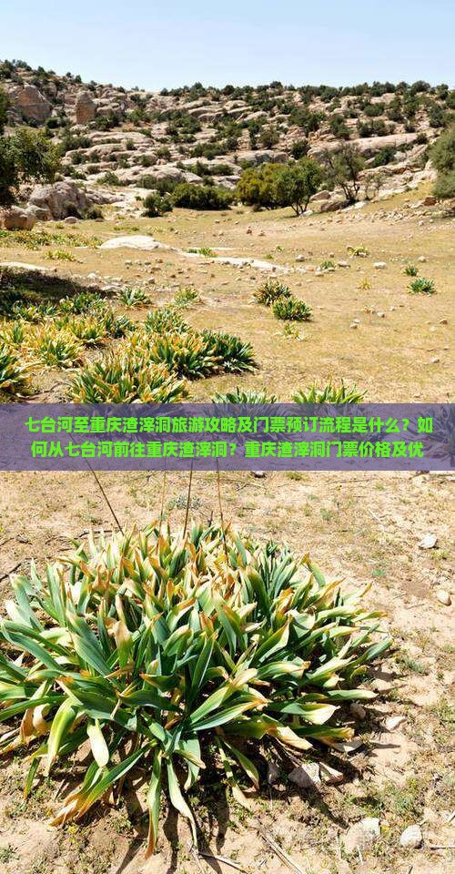 七台河至重庆渣滓洞旅游攻略及门票预订流程是什么？如何从七台河前往重庆渣滓洞？重庆渣滓洞门票价格及优惠政策详解。