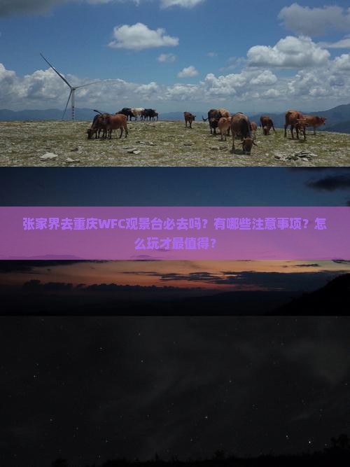 张家界去重庆WFC观景台必去吗？有哪些注意事项？怎么玩才最值得？