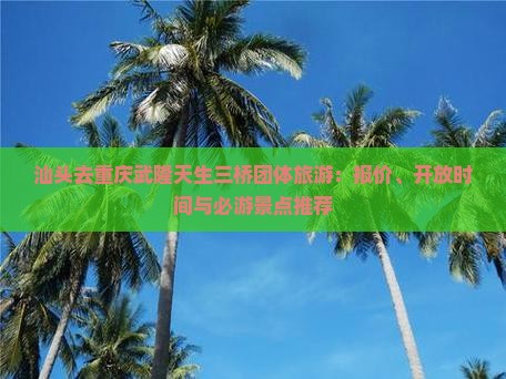 汕头去重庆武隆天生三桥团体旅游：报价、开放时间与必游景点推荐