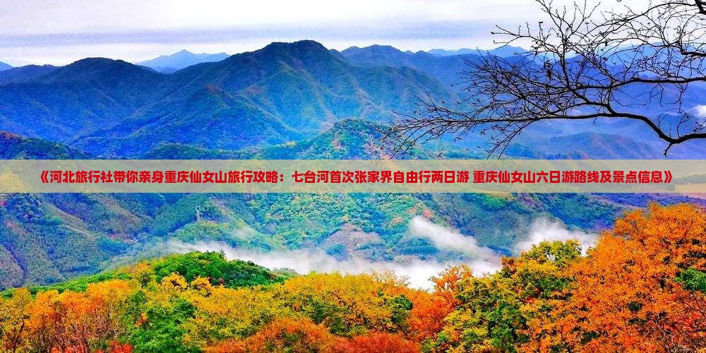 《河北旅行社带你亲身重庆仙女山旅行攻略：七台河首次张家界自由行两日游+重庆仙女山六日游路线及景点信息》
