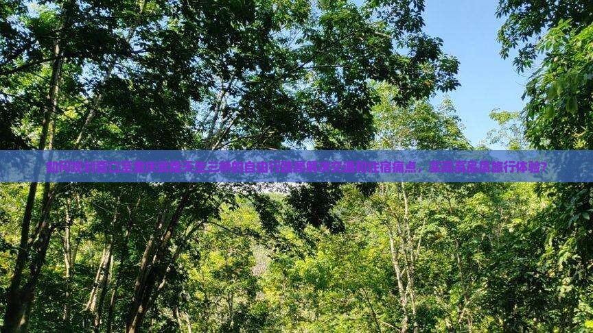 如何规划营口至重庆武隆天生三桥的自由行路犀解决交通和住宿痛点，实现高品质旅行体验？