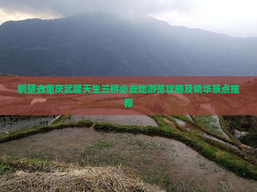 鹤壁去重庆武隆天生三桥必去地游览攻略及精华景点推荐