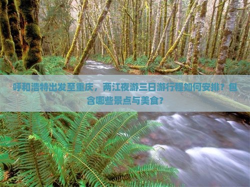 呼和浩特出发至重庆，两江夜游三日游行程如何安排？包含哪些景点与美食？