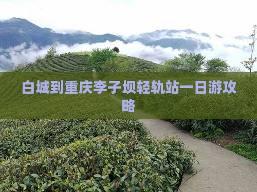 白城到重庆李子坝轻轨站一日游攻略