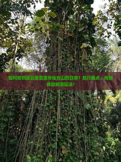 如何规划连云港至重庆仙女山四日游？旅行痛点，抢鲜体验新潮玩法！
