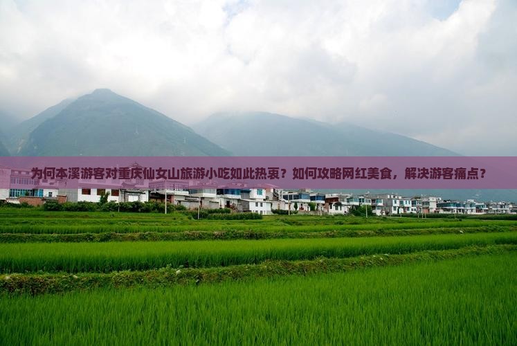 为何本溪游客对重庆仙女山旅游小吃如此热衷？如何攻略网红美食，解决游客痛点？