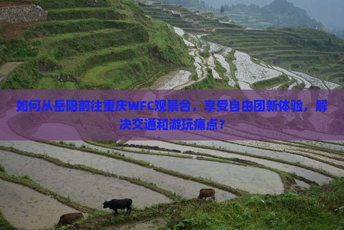 如何从岳阳前往重庆WFC观景台，享受自由团新体验，解决交通和游玩痛点？